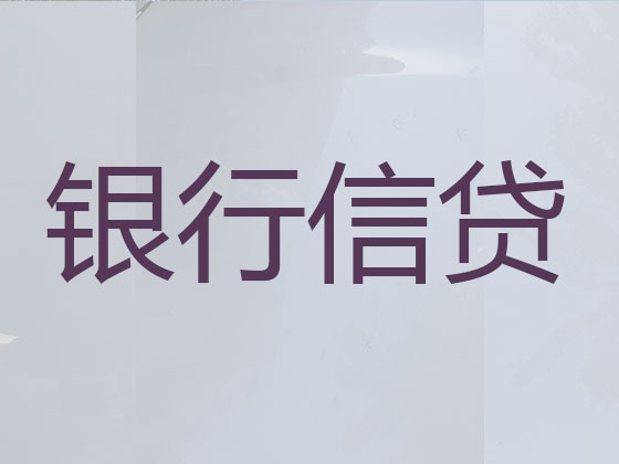 吴忠信用贷款中介公司